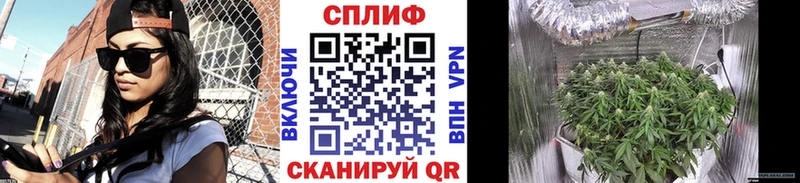 Шишки марихуана планчик  Онега 